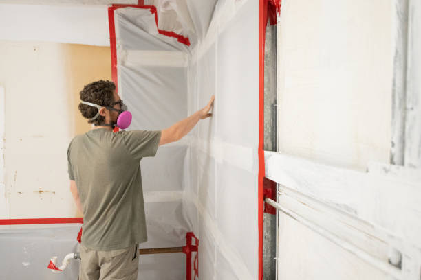 Biohazard Mold Removal in Weslaco, TX
