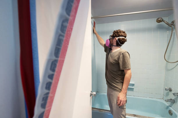 Best Mold Remediation for Rental Properties  in Weslaco, TX