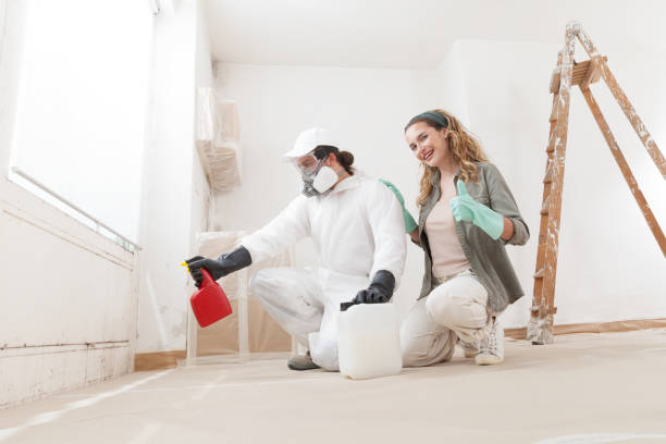 Best Forensic Mold Investigation  in Weslaco, TX